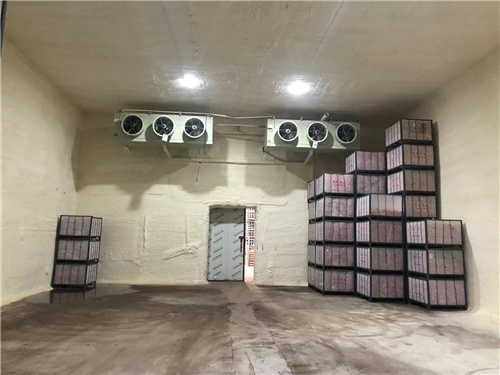 乐动网站苹果冷库安装案例 乐动网站苹果冷库安装案例